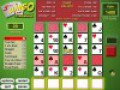 5 Card Slingo screenshot